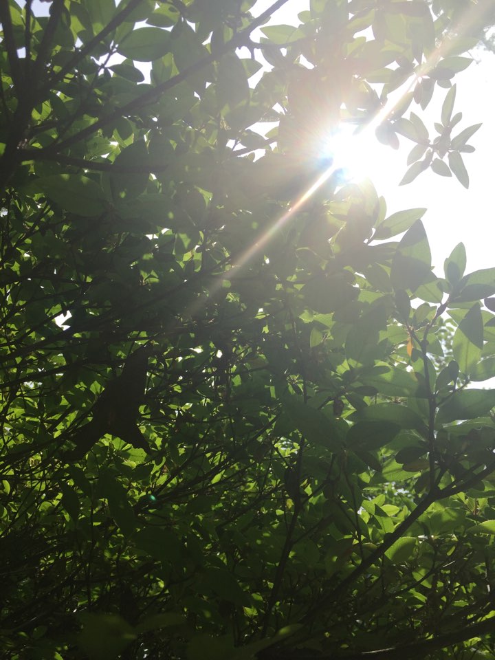 KakaoTalk_20190109_152015314 - 복사본.jpg