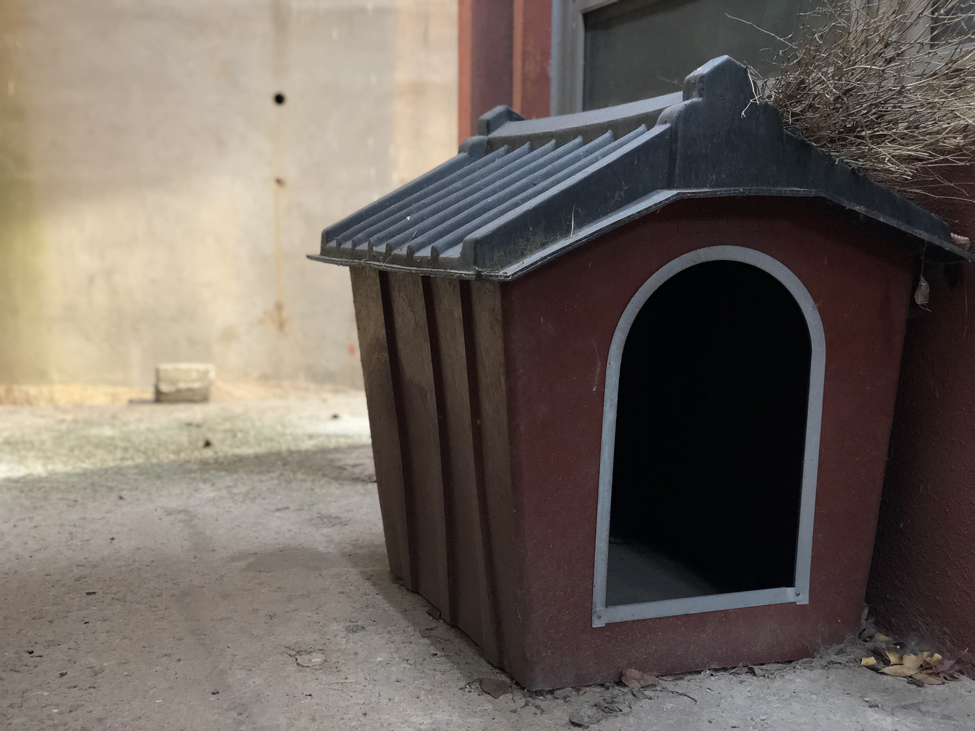 헌집줄게 새집다오 1.jpeg