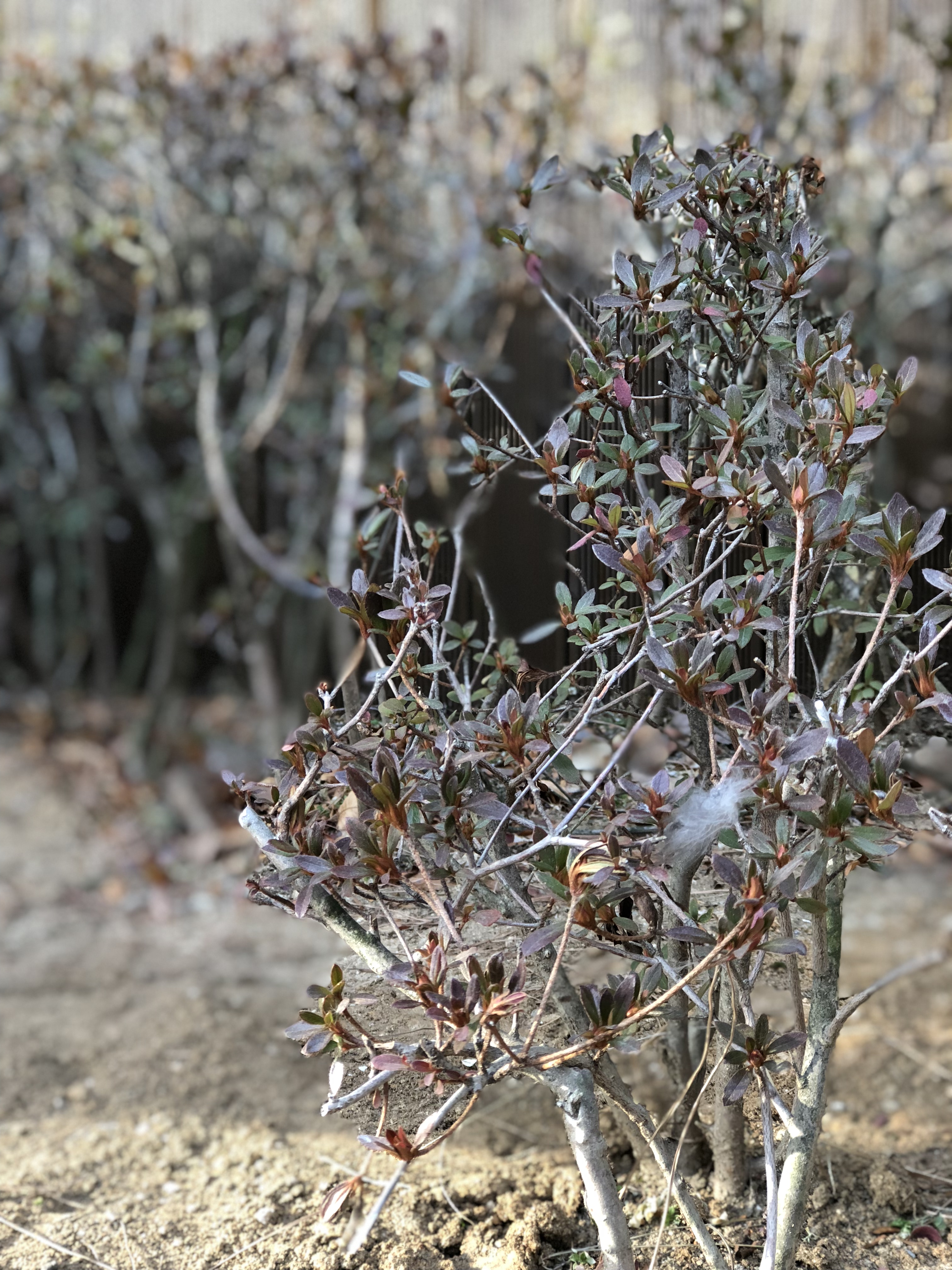 내가 주인공2.jpeg