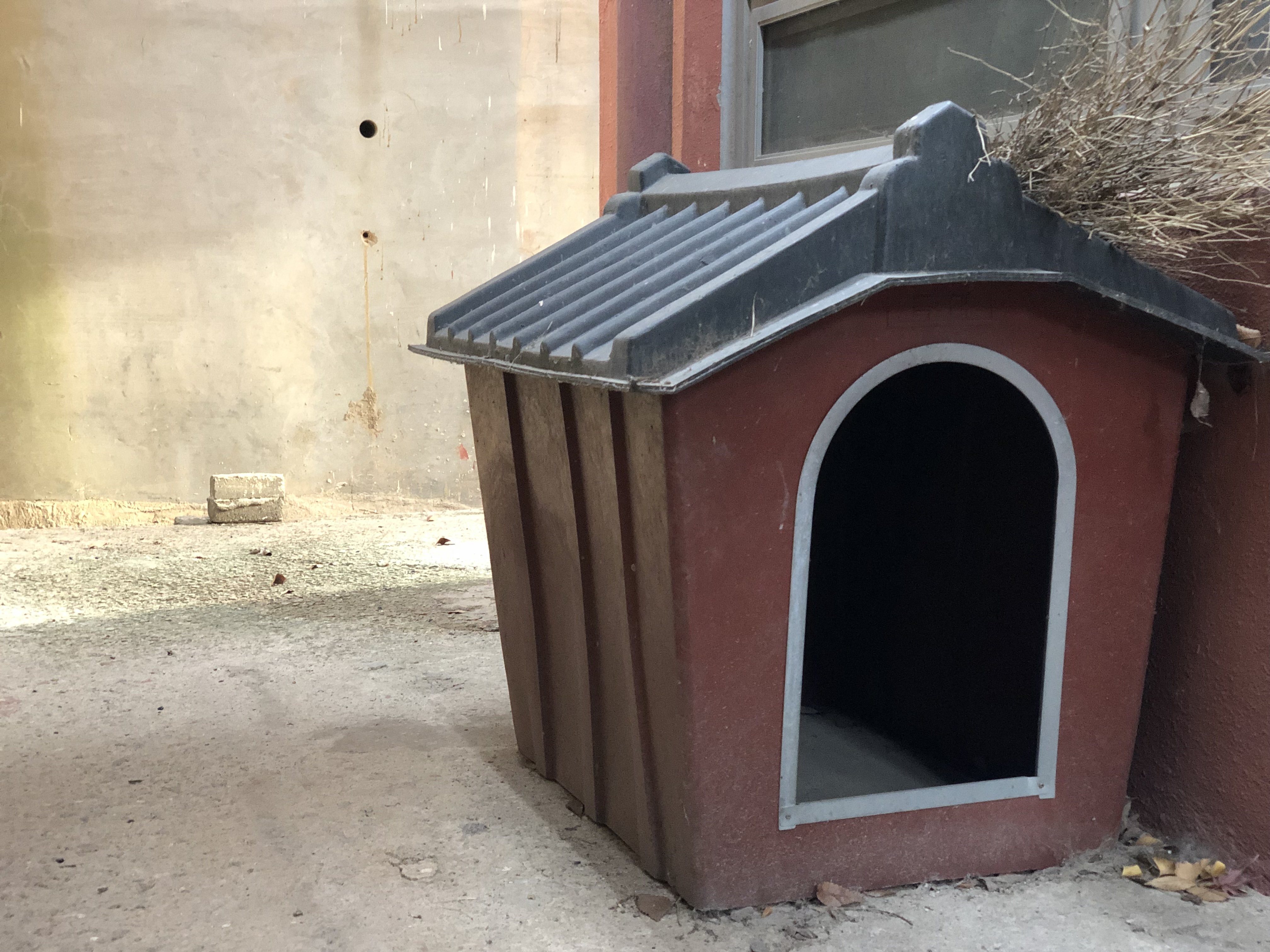 헌집줄게 새집다오 2.jpeg