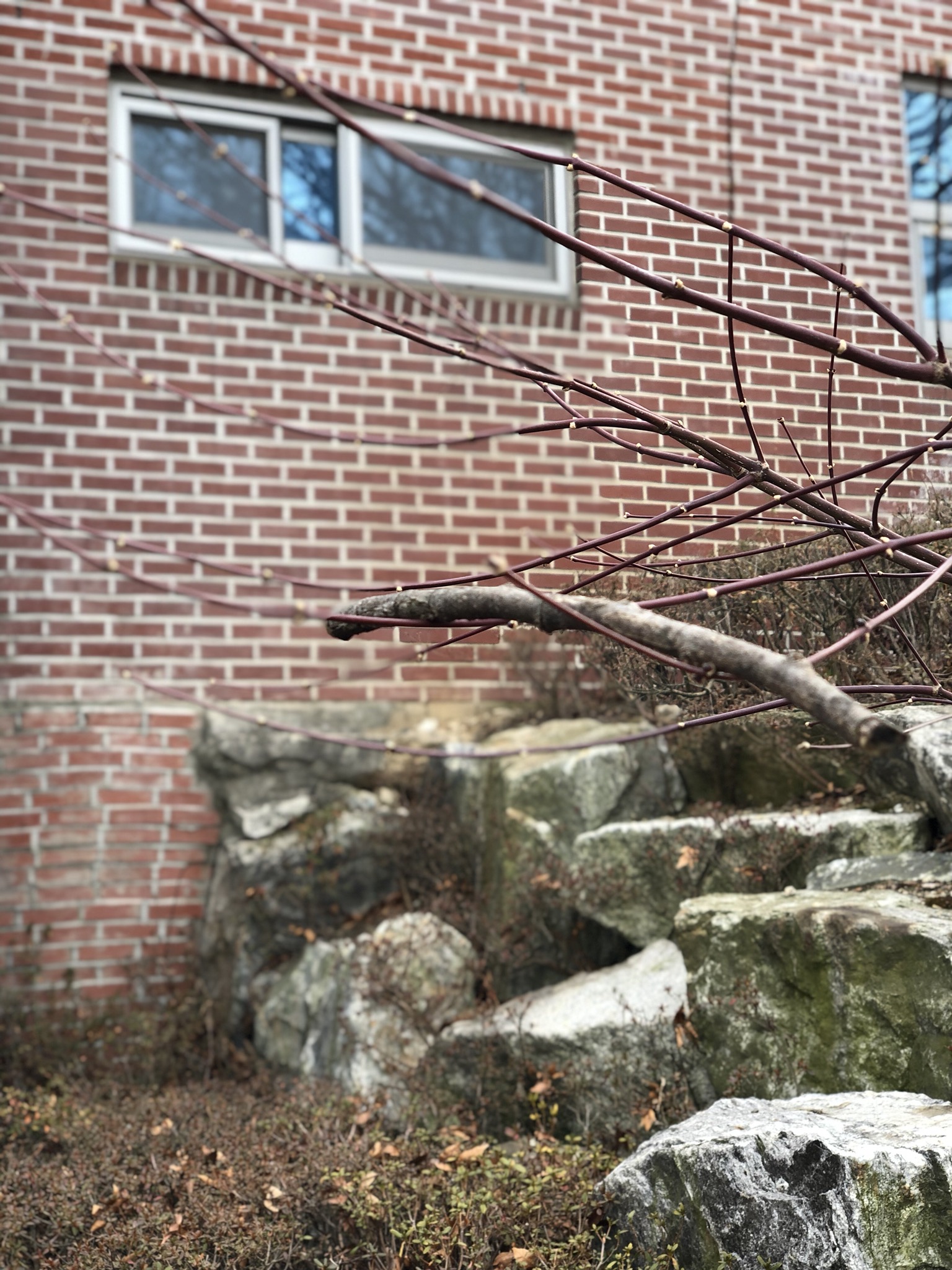 아슬아슬 데롱데롱 2.jpeg