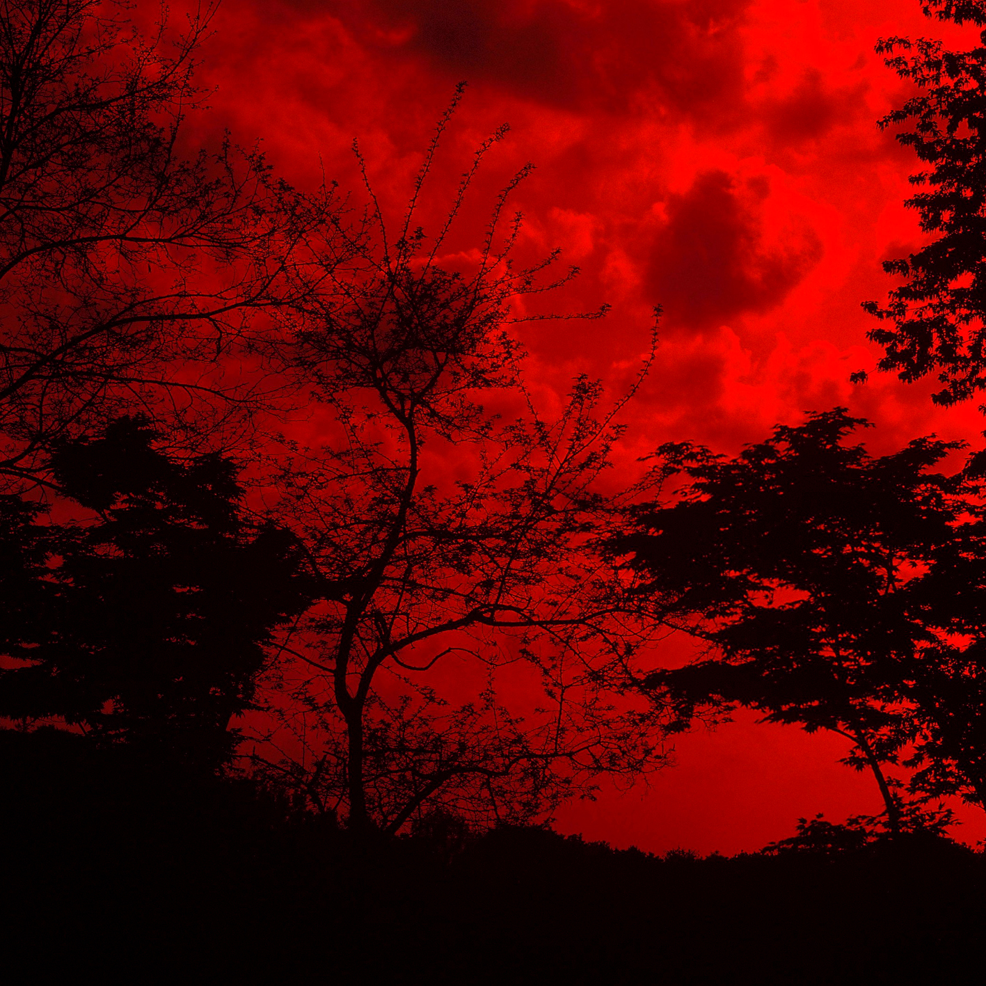 사랑.. 그 쓸쓸함에 대해서...jpg