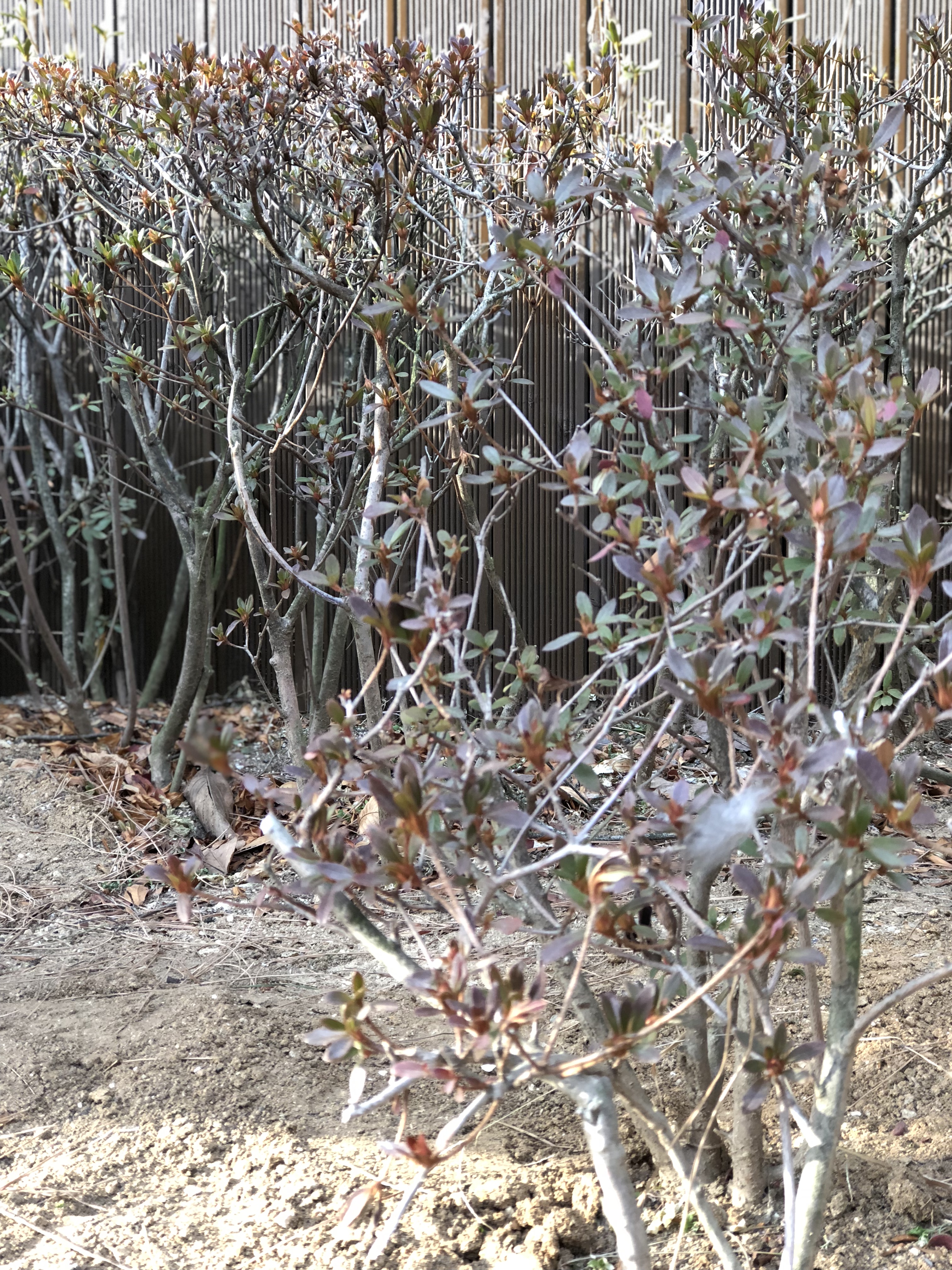 내가 주인공.jpeg