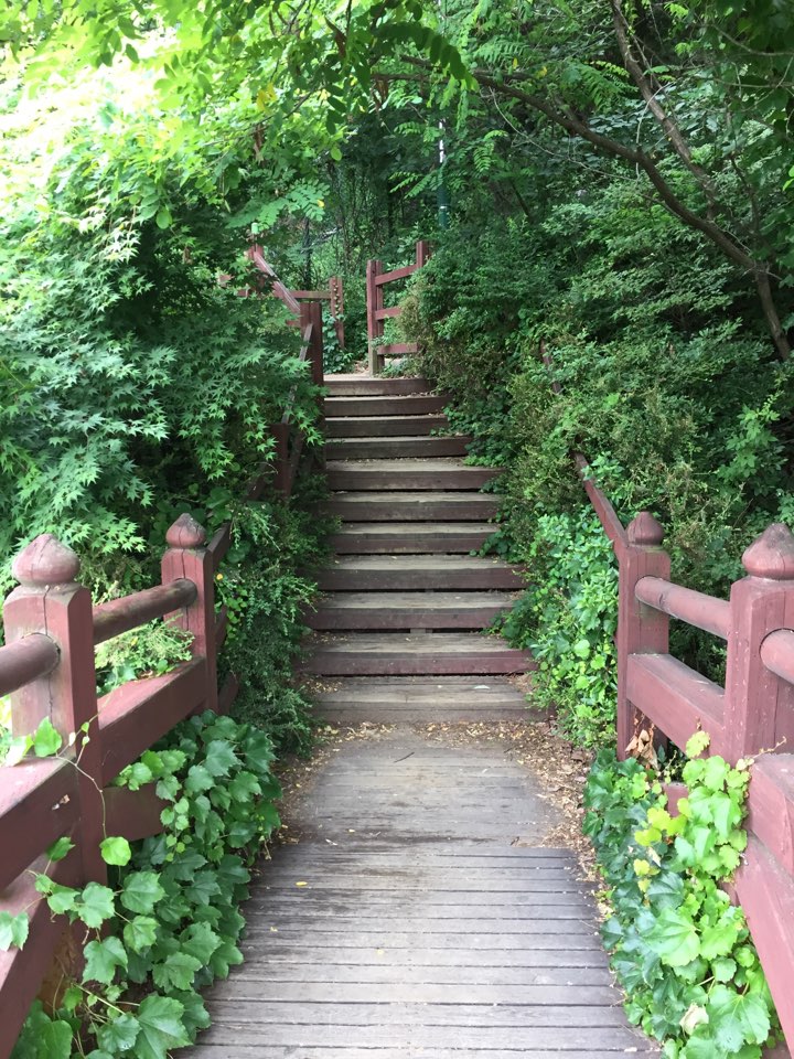 KakaoTalk_20190109_152013955 - 복사본.jpg