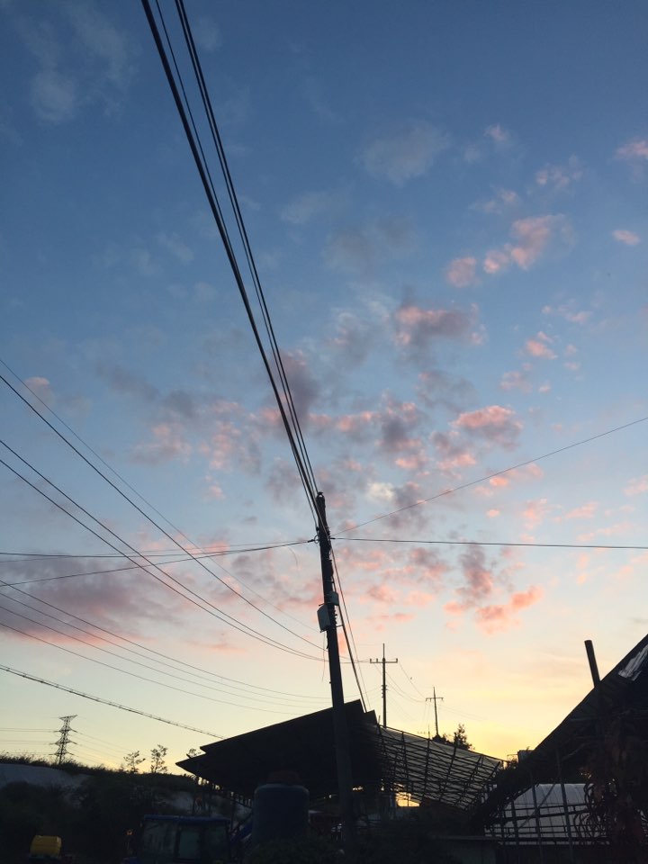 KakaoTalk_20190109_130802258 - 복사본.jpg