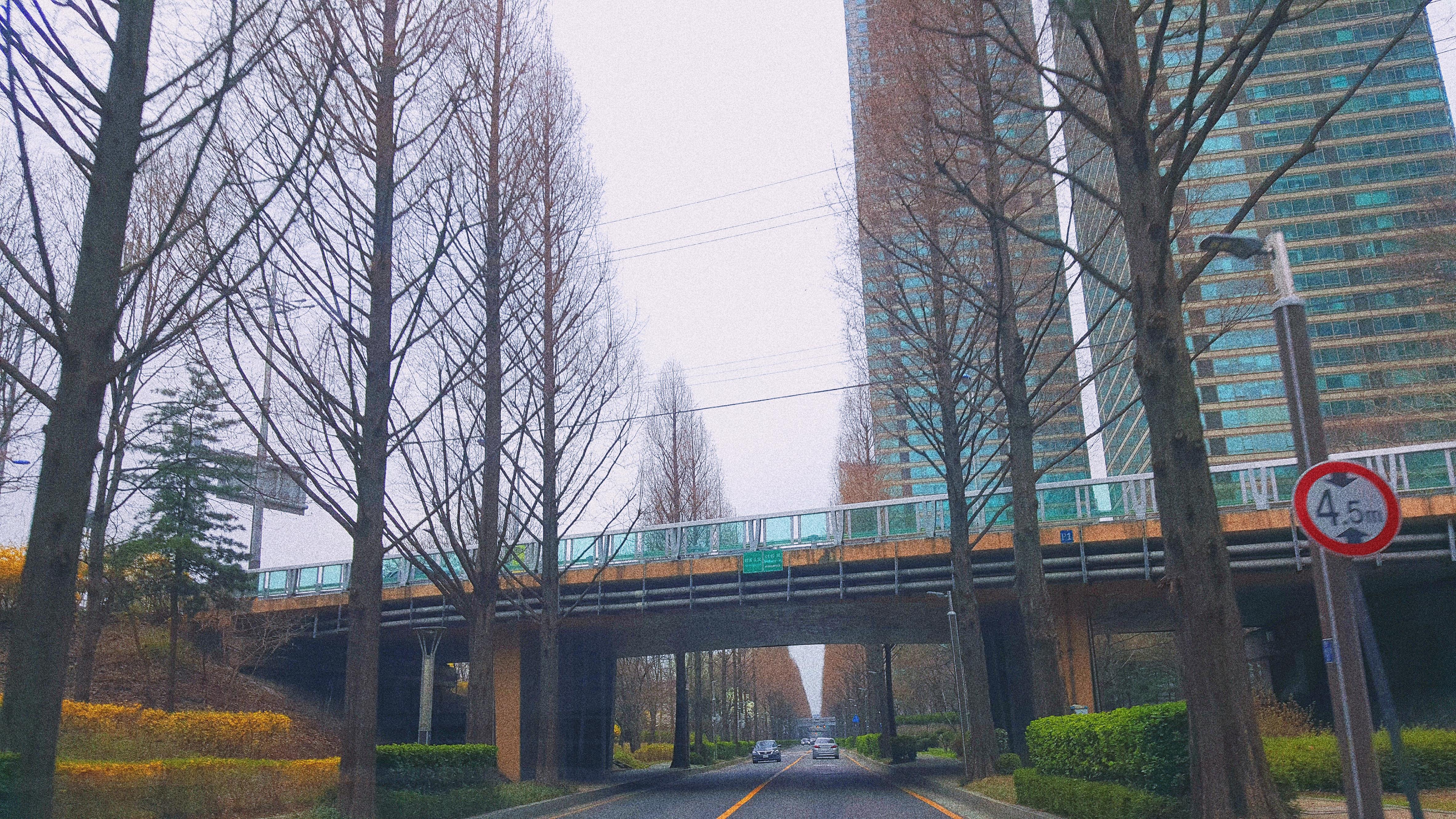 2018-04-13 12.02.19 1.jpg