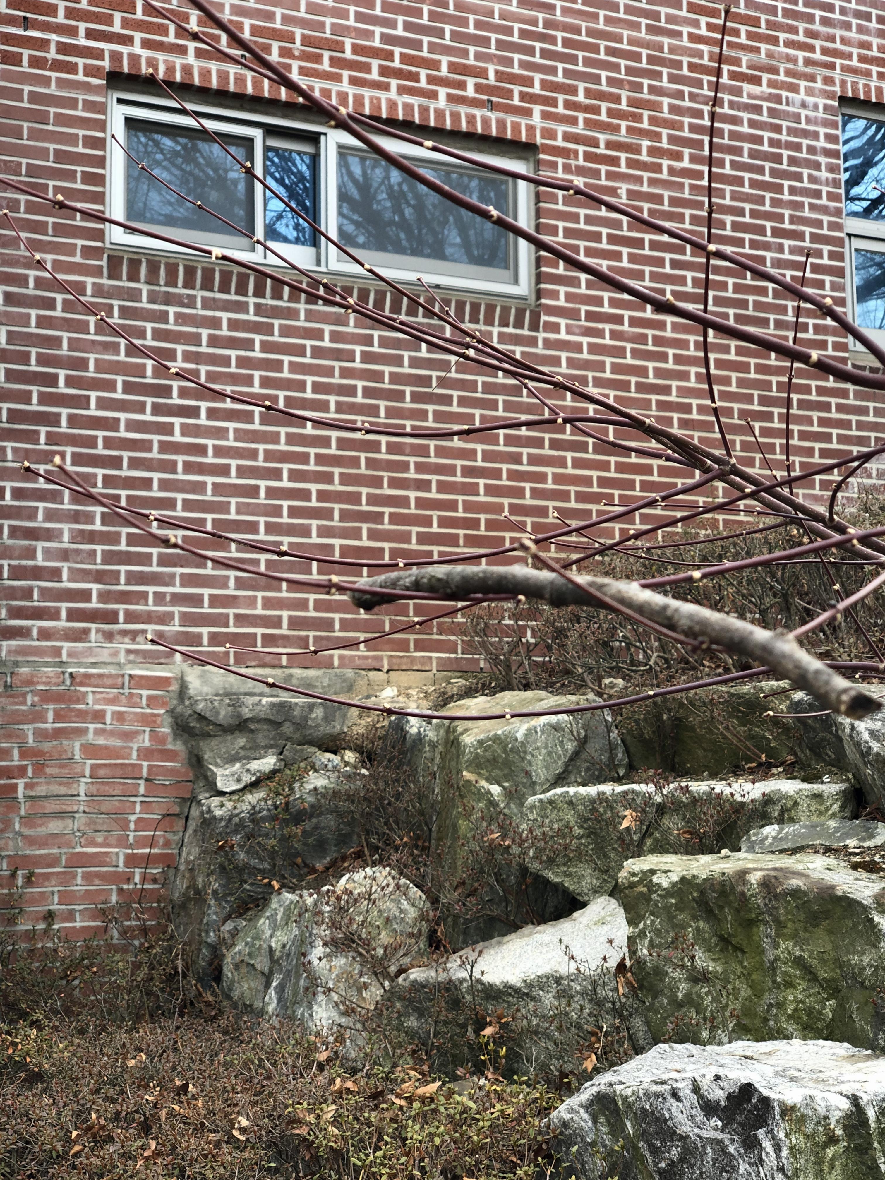 아슬아슬 데롱데롱 1.jpeg